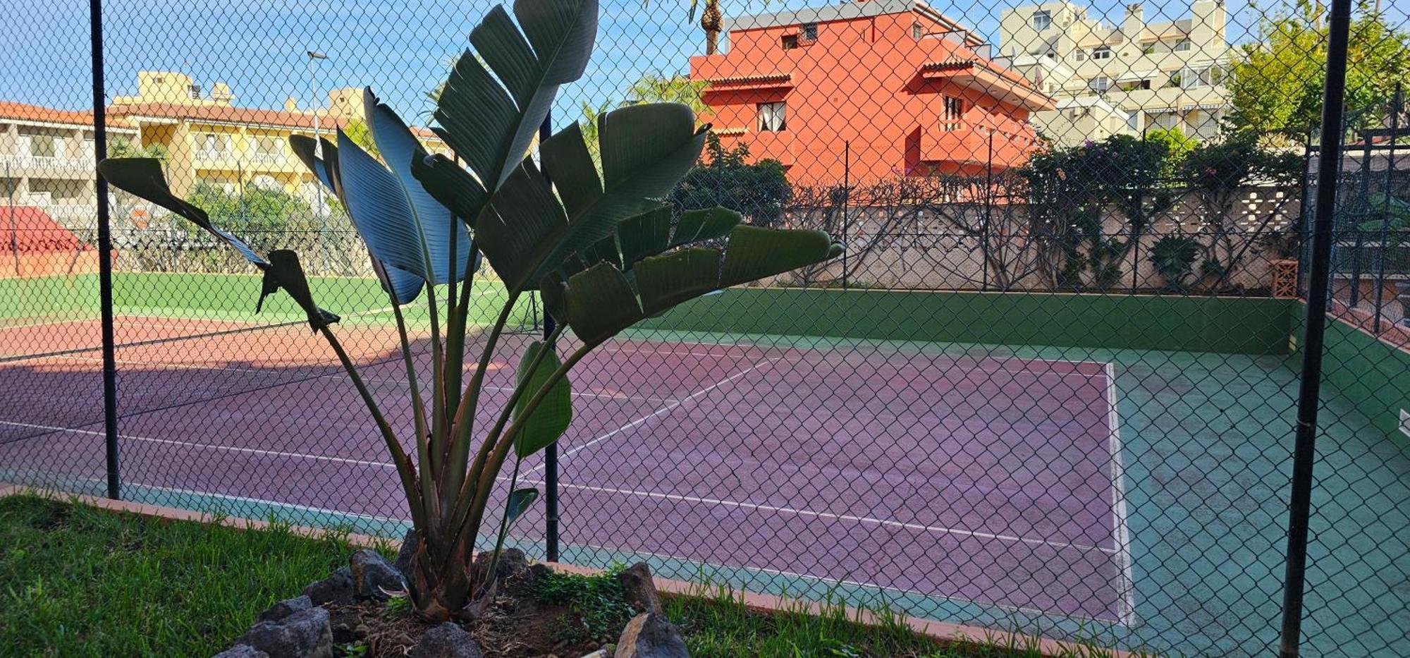Estudio Tranquilo Cerca Del Mar. Puerto de la Cruz  Luaran gambar